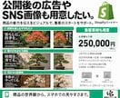 Shopifyのストア構築・改修に対応します 部分改修３万円〜／新規構築１５万円〜。画像制作も対応 イメージ7