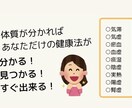 整体師が体質を分析してピッタリの健康法を教えます 〜すぐ活かせる！売れっ子整体師の60分間「体質分析相談」〜 イメージ2