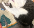 写真から霊視➕様々な占術でコミニュケーションします ♥️亡くなられた方もOKです♪ワン猫✨ココナラ2000件以上 イメージ9