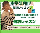 中学生向けの英語学習30分1500円で行います 保護者のかたも安心！元英語教室経営者がサポート イメージ1