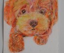 あなたの可愛い愛犬の似顔絵を色鉛筆でお描きします 写真を元にお描きしますが、写真とは一味違う表情が出ます イメージ4