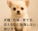 犬の飼育の悩みを 分からない所から一緒に整理します 初めての飼育で不安がある方へ 何から始めるか一緒に考えます イメージ5