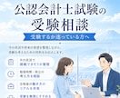 公認会計士試験の受験相談に乗ります ～現役の公認会計士が自身の経験をもとに相談対応します～ イメージ1