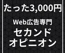 代行依頼前に！リスティング改善のご相談に乗ります 依頼前のセカンドオピニオンで、無駄な外注費をカット。 イメージ1