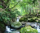 あなたの人間関係のお悩み聞きます 福祉や芸能で人の悩みを聞いてきた経験者に話せるお悩み相談会 イメージ1