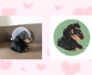 大切なペットのイラストを制作いたします 犬、猫、鳥...あなたの可愛いペットをイラストに♡ イメージ5