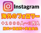 格安で海外のフォロワーさん増やします 海外フォロワーを 1,000人～！高品質＋安心安全 イメージ1