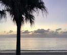 奄美大島へ旅行を検討の方！現地民がアドバイスします 奄美に関する気になる事、なんでも聞いてください！ イメージ5