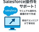Salesforce操作マニュアル作成します 操作に迷わない！資料も丁寧作成 イメージ1