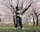 風景写真に桜吹雪を追加します 写真編集歴3年｜特別な1枚を作ります！ イメージ6