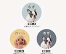 ペット写真SNSアイコンをセミオーダーで制作します 色とフォントが選べる！うちの子写真で現役デザイナーが制作 イメージ10