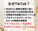 サイトの記事をTikTok動画にします 台本・声・編集・分析【20本・1分程】すべておまかせください イメージ4