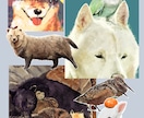 動物のイラスト作成いたします 動物イラストをオシャレに可愛く作成します！ イメージ1