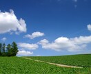 旅行のプロがあなただけの国内旅行プランを作成します 旅行業界一筋30年！思い出に残る楽しい旅行をご提案いたします イメージ6