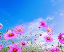 深呼吸して話しましょう！あなたの心を癒します どうしたら良いのかわからない時トークルームで話しましょう イメージ7