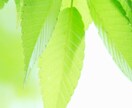 霊格レベルを測定します あなたの魂がどれだけ進化成長しているかがわかります イメージ1