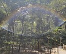 資格有）お話聴きます 公認心理師･看護師がお話を聴きます(^^) イメージ2