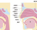 何となく続く不調と上手く付き合う方法をお教えします のどや鼻の不調・肩こり… それ、『のど』のせいかもしれません イメージ3