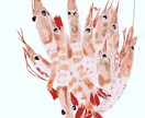 シズル感のある食べ物を描きます お写真をもとにリアルで温かみのあるイラストを作成します☆ イメージ4