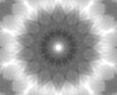 世界に１つだけのあなたの花束をお届け致します あなたが選ぶあなただけの花束を。 イメージ6