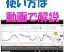 ＦＸトレードの練習環境と管理システムを提供します 練習と反省でＰＤＣＡをまわしながら実力を上げていけます イメージ10