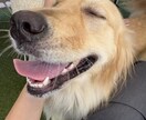 なんでも言って、なんでも受け止めます チャットGPTはAIだけど私はちゃんと人間よ イメージ1