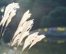 霊視歴30年⭐︎亡くなった方の本当の気持ち届けます 天国にいる故人と通じ合い、癒しと前進のサポートをします♡ イメージ4