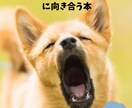 無駄吠え改善トレーニング 静かな毎日を作ります 毎日少しずつ、飼い主さんとわんちゃんのペースで無駄吠え対策！ イメージ1
