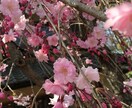 電話でお話しを聴きます 救急手当て　辛い時はSOSを発してください イメージ1