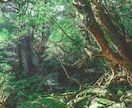 あなただけのパワースポットを読み解きます 全体運・仕事運・金運・恋愛運を上げたいあなたへ イメージ2