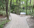あなたの見た夢*【予知夢】あなたの未来を鑑定します 夢からのサインを読み解き進むべき未来への道しるべを伝えます イメージ9