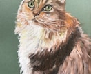 愛猫や愛犬の絵を描いています 油絵に似たチョークアート画です。とてもしっとり仕上がります。 イメージ4