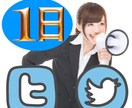 ツイッター独占宣伝です。強いアカウントを使って、 あなたが宣伝したいサービスを１日独占宣伝します！ イメージ1