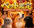 龍神の依り代となりペット様の魂の声を降ろします 白龍神の依り代霊視でペット様の声を届け、愛の龍脈を癒します イメージ1