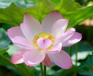 現役の保健室の先生があなたの話聴かせていただきます 秘密の話 お悩み 恋バナ 癒されたい 話相手 愚痴 ok⭐︎ イメージ10
