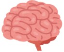 脳・神経に関する質問にお答えします 現役医学生が丁寧に解説します。 イメージ1