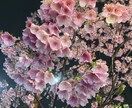 聞き上手な私が、あなたのお話聞きます 恋愛・愚痴・雑談なんでも大丈夫です！ イメージ1