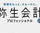 弥生会計の入力代行いたします 確定申告の準備でデータ入力が必要な方 イメージ2