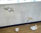 賃貸物件を出る前に相談する窓口ます ご退去前に出来る準備をしましょう！ イメージ4