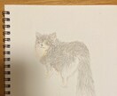 可愛いペットの似顔絵お描きします 色鉛筆を使って温かく柔らかな印象に仕上げます！ イメージ1