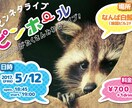 お好みのイメージでフライヤーデザインします ★ポップ、シンプル、なんでもあり！イベントや告知にどうぞ！ イメージ3