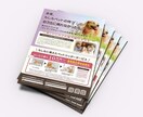 パッと目を引くおしゃれなチラシ作成します 提案後の修正は納得いただけるまで何回でも無料です！ イメージ4