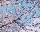 人間関係✴︎復縁など✴︎現状と今後の流れを占います お相手との今後の関係が気になる方へ✴︎タロットで占います イメージ1