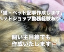 ペットショップ勤務者が猫ペット関連の記事作成します 猫好き・ペットショップ勤務経験を活かし、分かりやすい文章を！ イメージ1