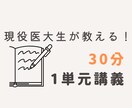 現役医学生が【一単元】サクッと教えます 【30分 集中講義】【数学・英語・物理・化学】 イメージ1