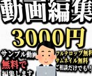 格安で！動画編集お受けします サンプル動画無料で編集します！ イメージ1