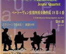 演奏会のチラシ・フライヤーをデザインします ヴァイオリン奏者が作るチラシデザイン！ イメージ1