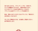 ブランド設計から“伝わる”HPを制作します ただ制作したいではなく、上流の設計からHPページへ落とし込み イメージ5
