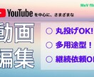 YouTube動画編集！多用途に対応します 高品質を安心してお取引したい方向け！動画編集承ります イメージ1