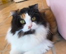 大人もたくさん褒められたい！！なんでも褒めます 褒めて褒められてお互い気持ちよくなりましょう♪*° イメージ1